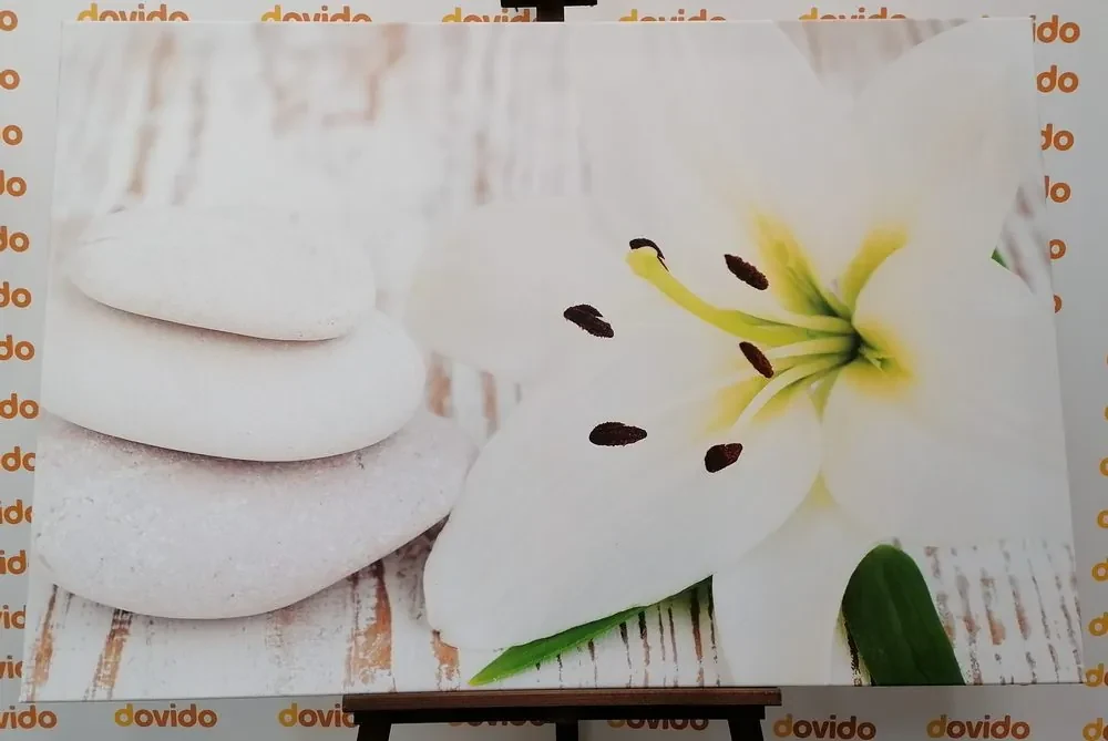Tablou crinul și pietre de masaj în design alb