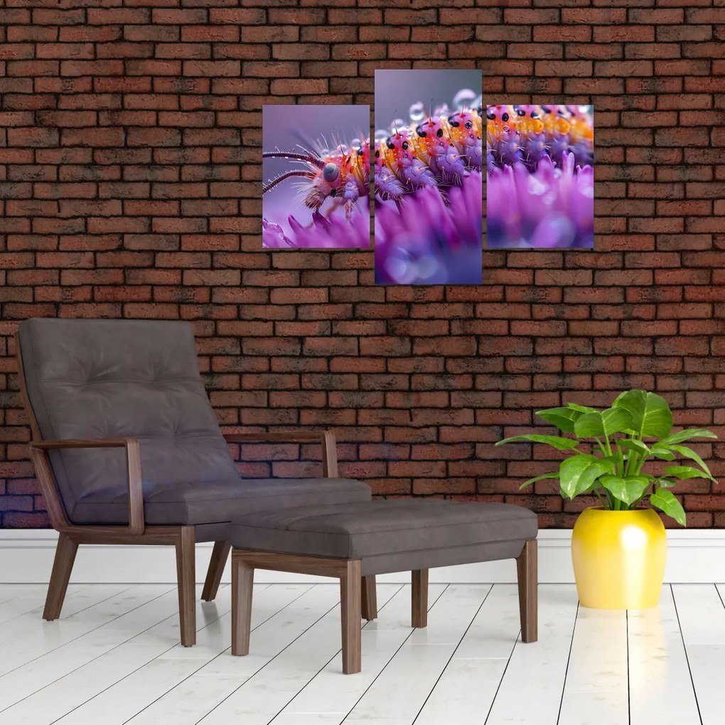 Tablou - Caterpillar (90x60 cm)