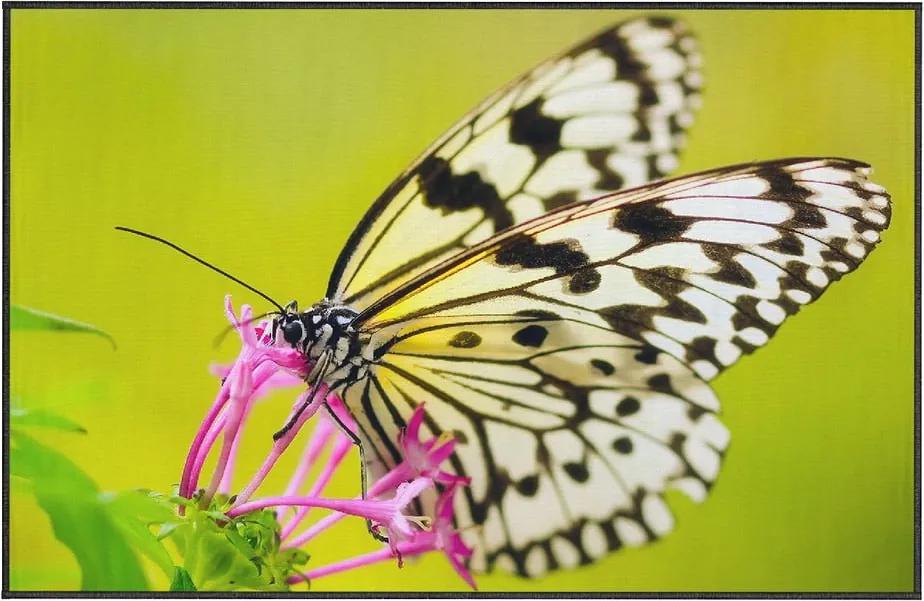 Covor Oyo home Butterfly, 100 x 140 cm, verde