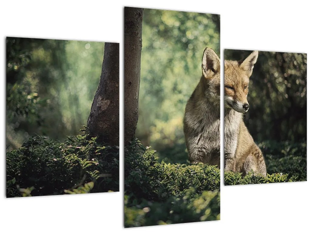 Tablou cu vulpe (90x60 cm)