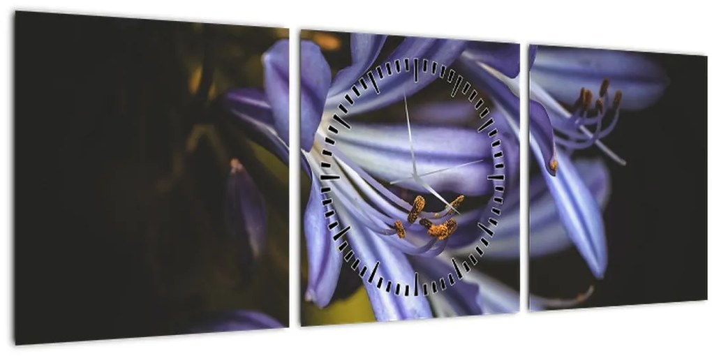 Tablou - Lila (cu ceas) (90x30 cm)