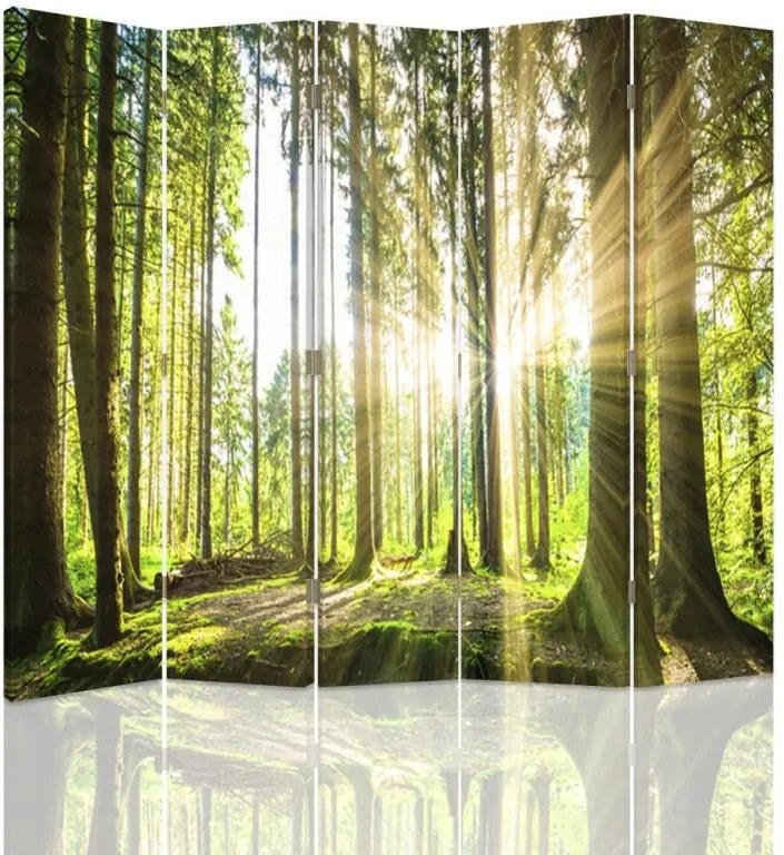 CARO Paravan - Sun In The Forest | cinci păr?i | reversibil 180x150 cm