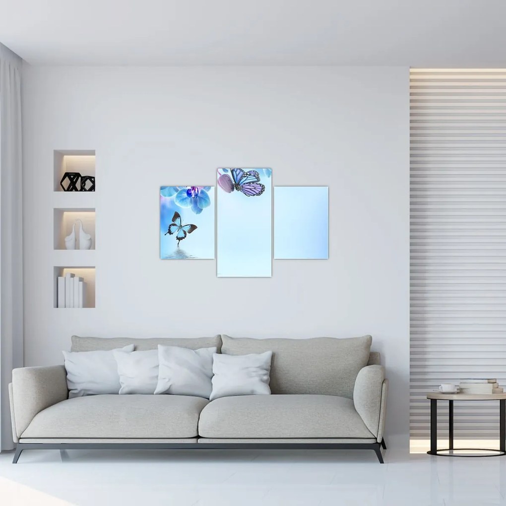 Tablou - Fluture pe flori de orhidee, albastru (90x60 cm)