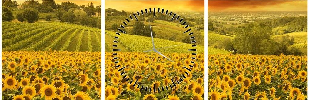 Tablou - Câmp de floarea-soarelui (cu ceas) (90x30 cm)