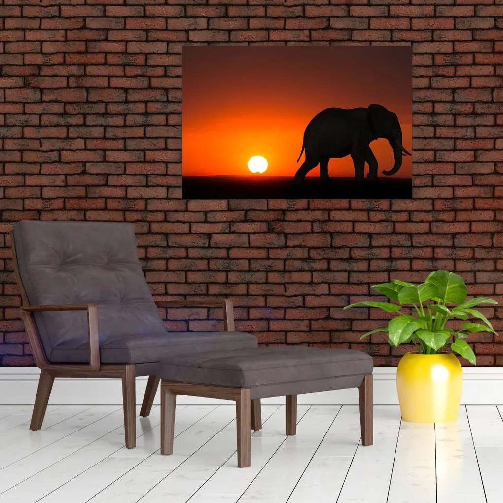 Tablou cu elefant în apus de soare (90x60 cm)
