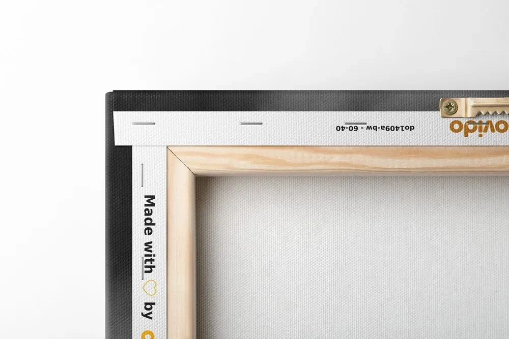 Tablou Feng Shui armonie în design alb-negru