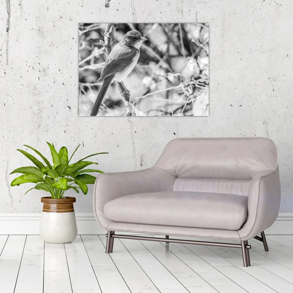 Tablou pe sticlă - Bluebird în timpul iernii (70x50 cm)