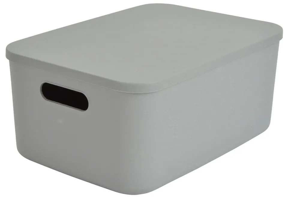 Cutie de depozitare gri din plastic cu capac 35,5x25,5x16 cm – Homéa