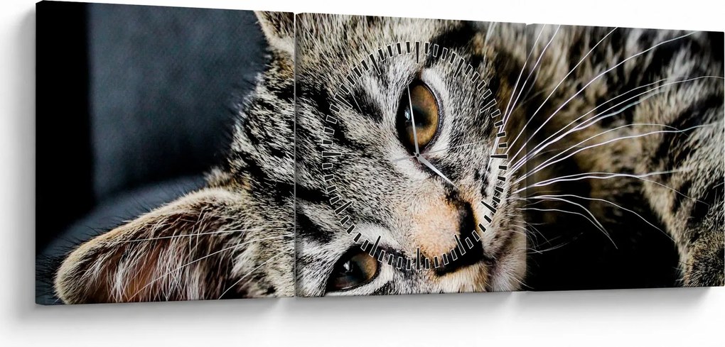 Tablou - Pisoi (cu ceas) (90x30 cm)