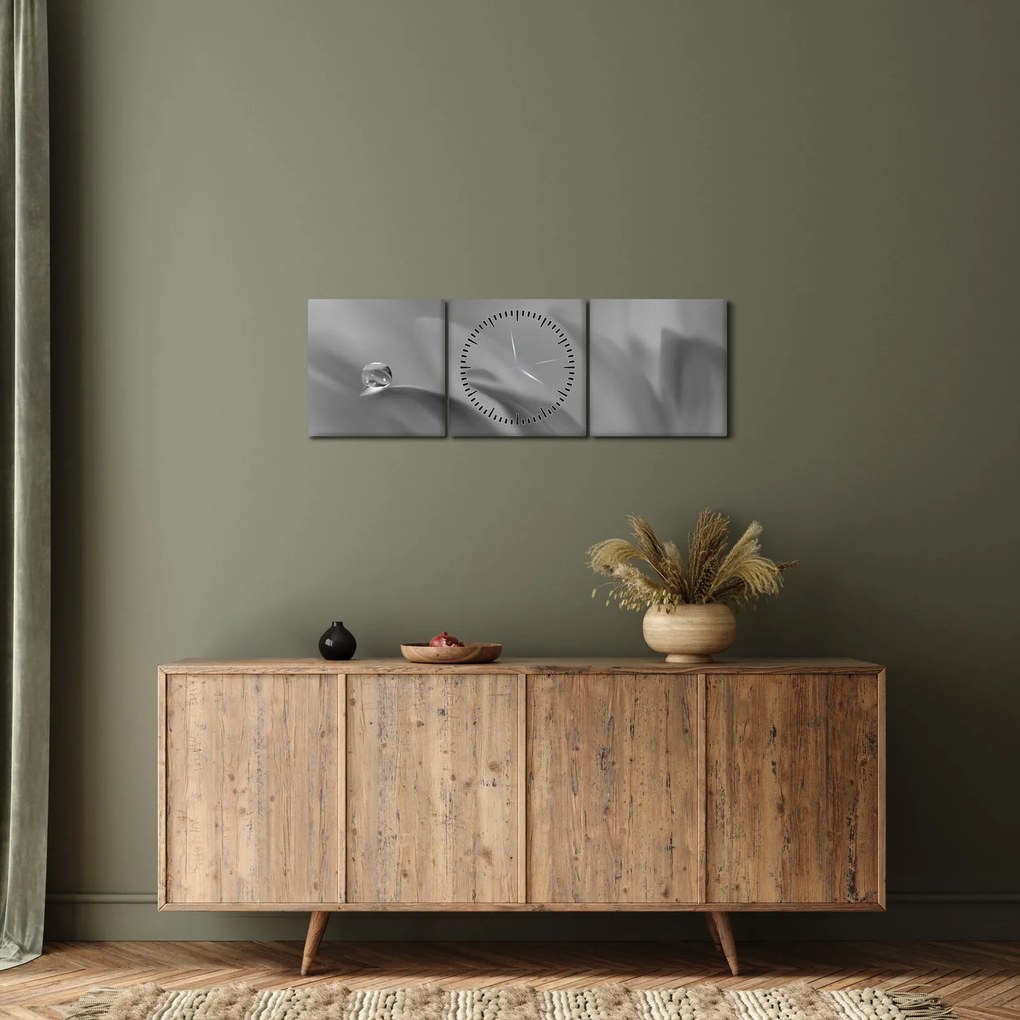 Tablou - Picătură pe floare,alb-negru (cu ceas) (90x30 cm)