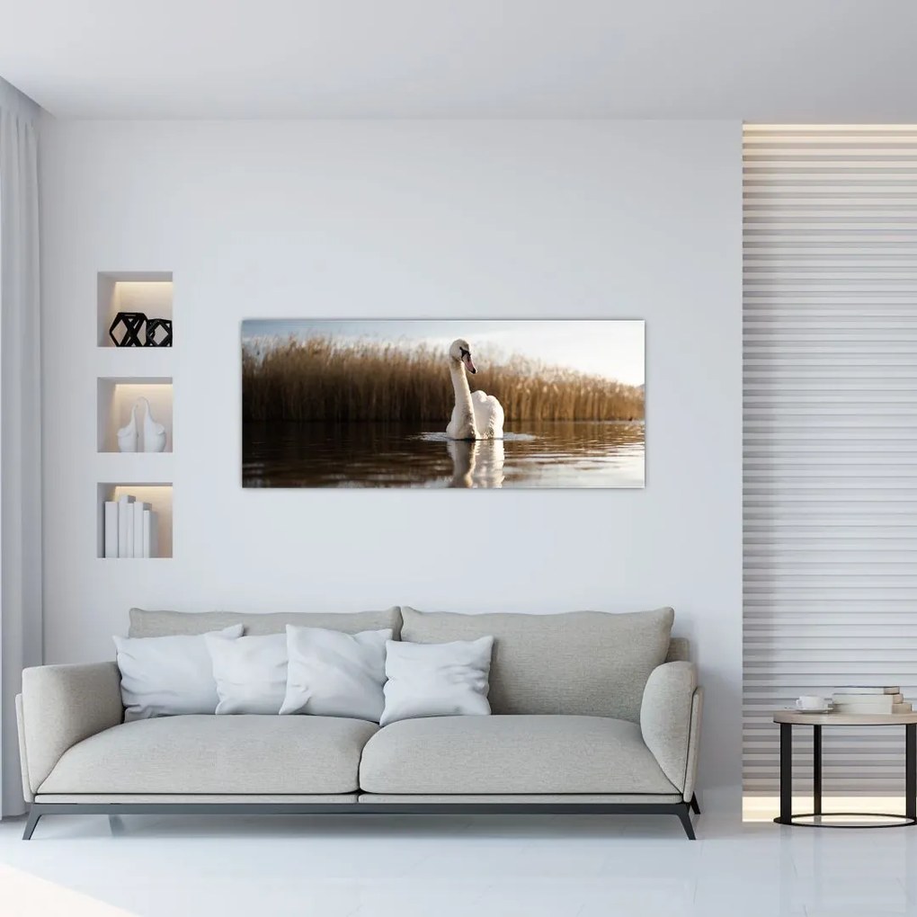 Tablou cu lebăda (120x50 cm)