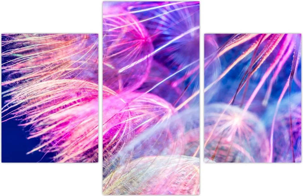 Tablou - Macro (90x60 cm)