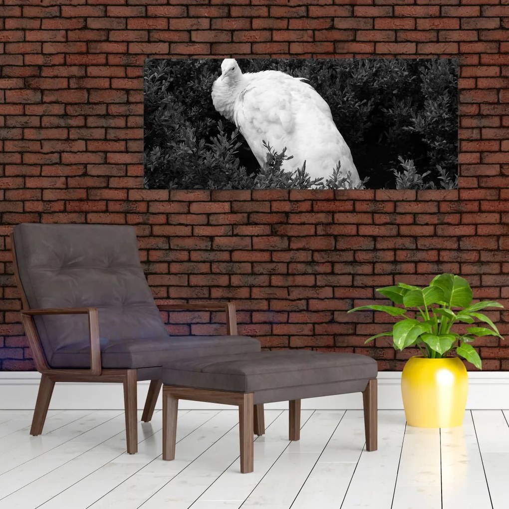 Tablou - Păun,alb-negru (120x50 cm)