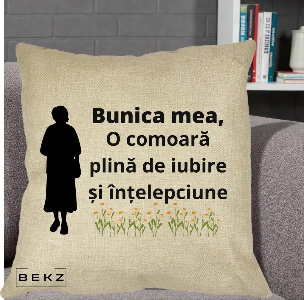 Cadou pentru Bunica - Perna Personalizata Bunica Mea Comoara Iubire Intelepciune Silueta cu Nepoata, 40x40 cm, Crem, Husa Detasabila, Perna Inclusa, BEKZ®