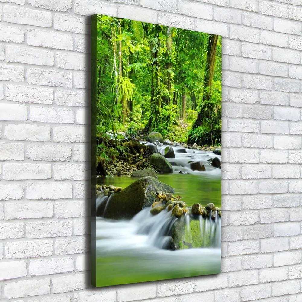 Tablou pe pânză canvas Branhii