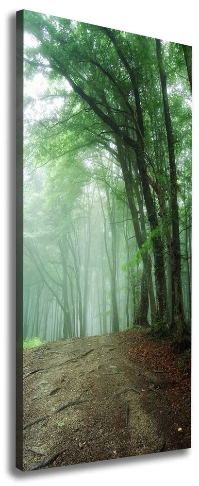 Print pe canvas Ceață în pădure