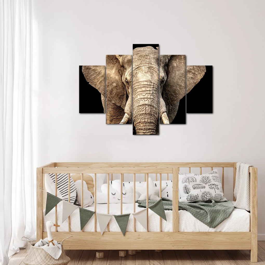 Tablou - Elefant african (150x105 cm)