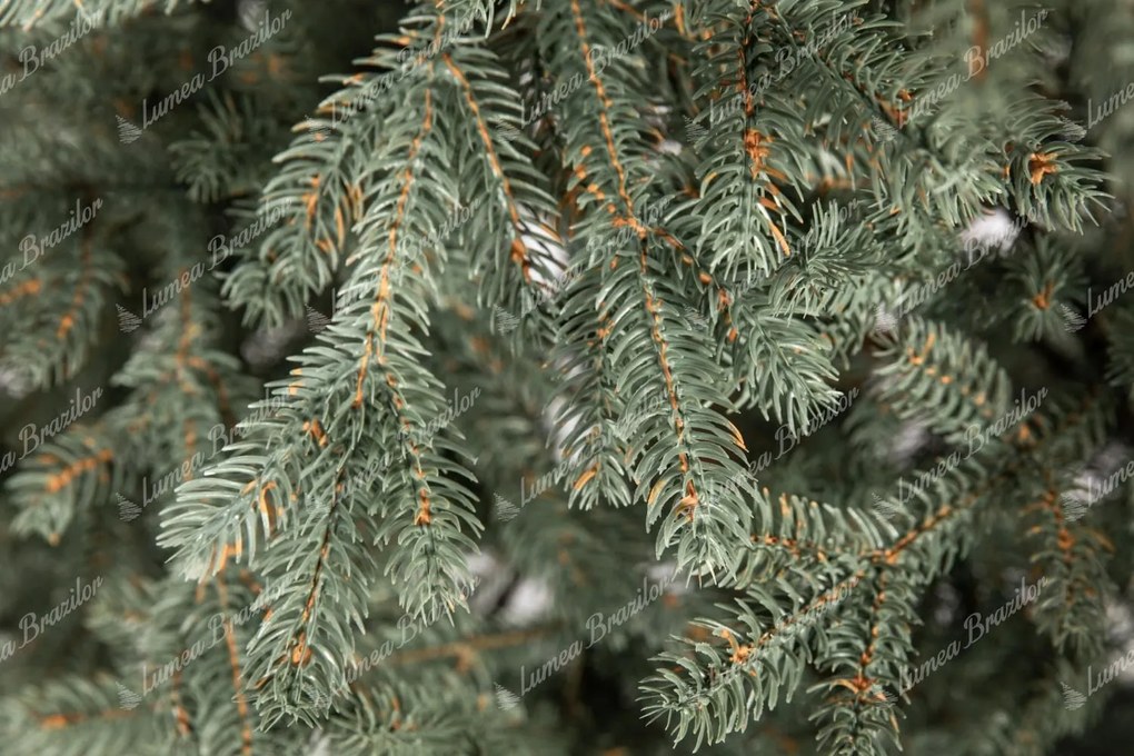 Pom de Crăciun artificial FULL 3D Molid Înzăpezit 180cm