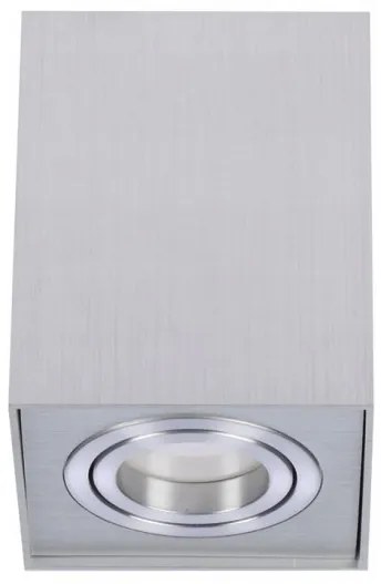 Spot aplicat tavan/plafon stil modern ELOY 1 Aluminiu