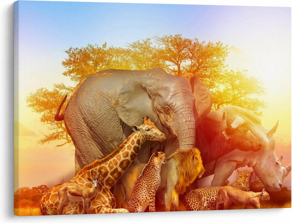 Tablou - Animale africane (70x50 cm)