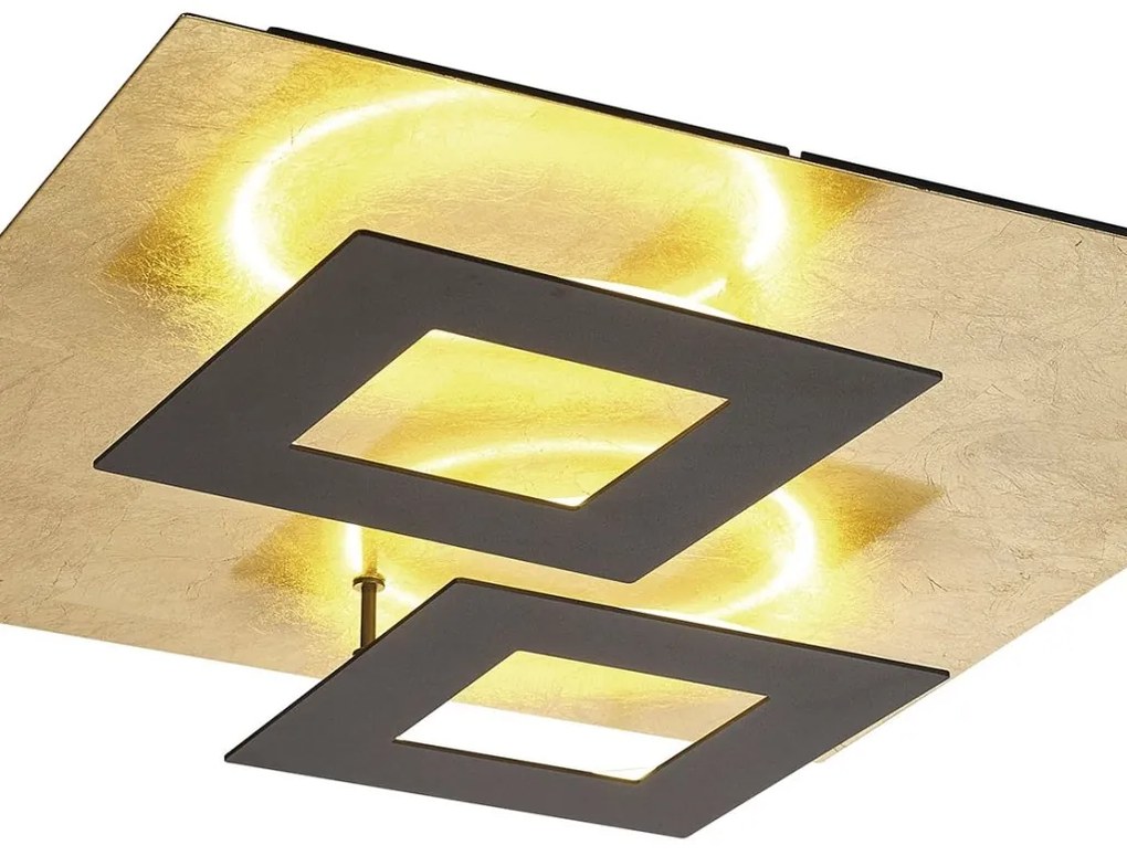 Plafoniera LED design ambiental DALIA Black/ gold