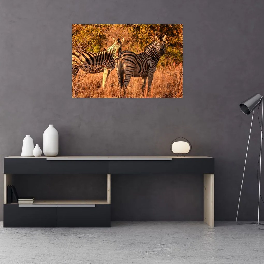 Tablou cu zebre (90x60 cm)