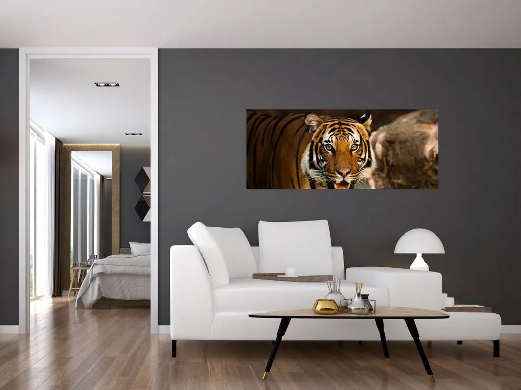Tablou cu tigrul (120x50 cm)