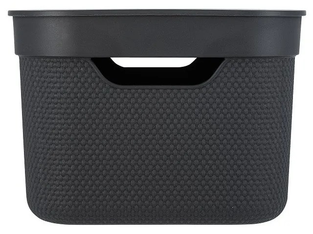 Cutie de depozitare din plastic cu capac Deco - Rotho