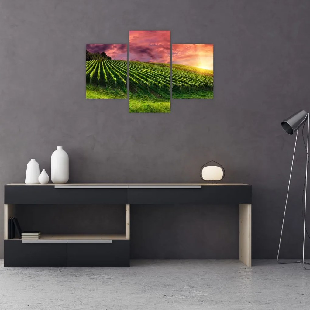 Tablou cu vie cu cerul color (90x60 cm)