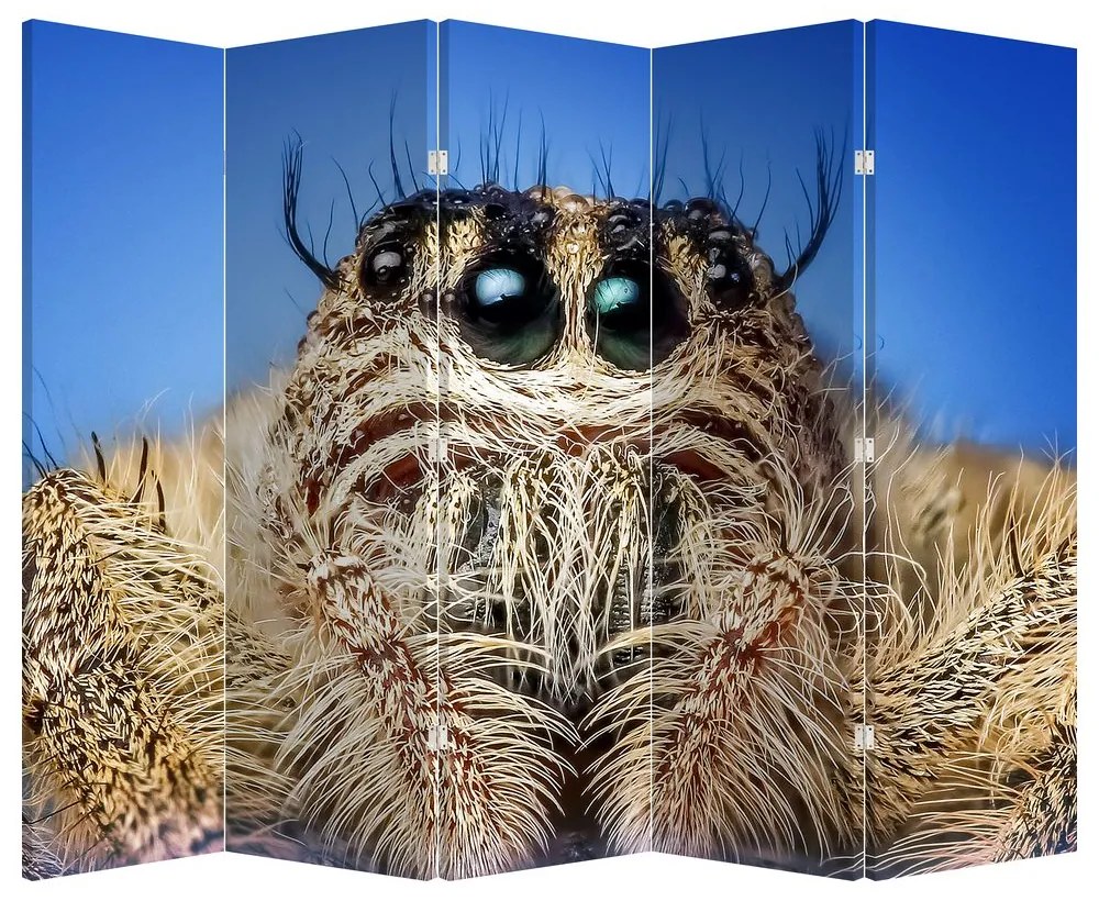 Paravan - Detalii a unui pâianjen (210x170 cm)