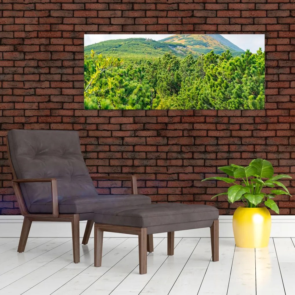 Tablou - Babi Hora, Polonia (120x50 cm)