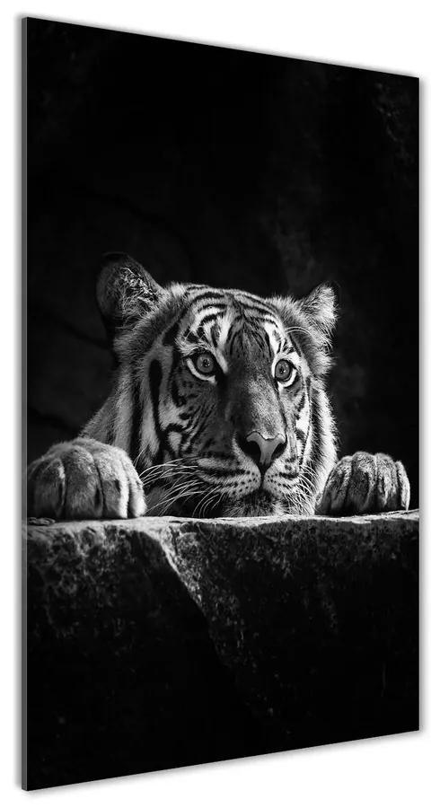Tablou pe acril Tigru