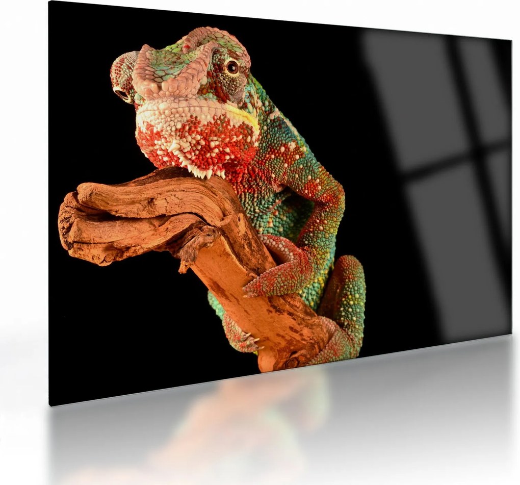 Tablou pe sticlă cu cameleon pe creangă (70x50 cm)