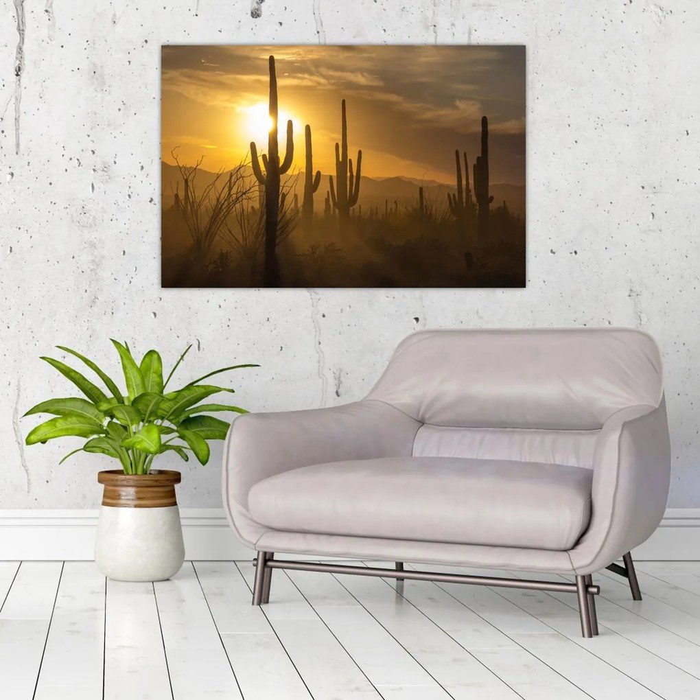 Tablou - Cactuși Saguaro (90x60 cm)