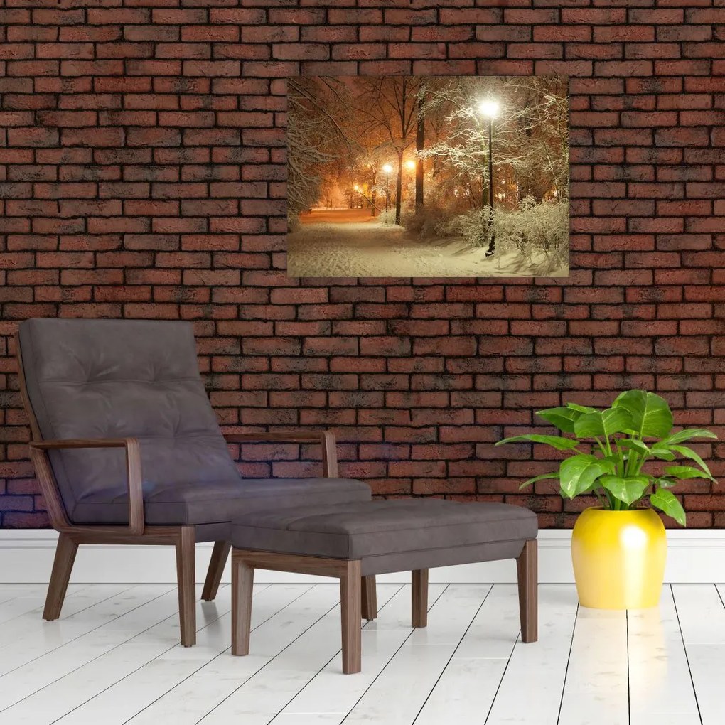 Tablou - Parcul înzăpezit (70x50 cm)