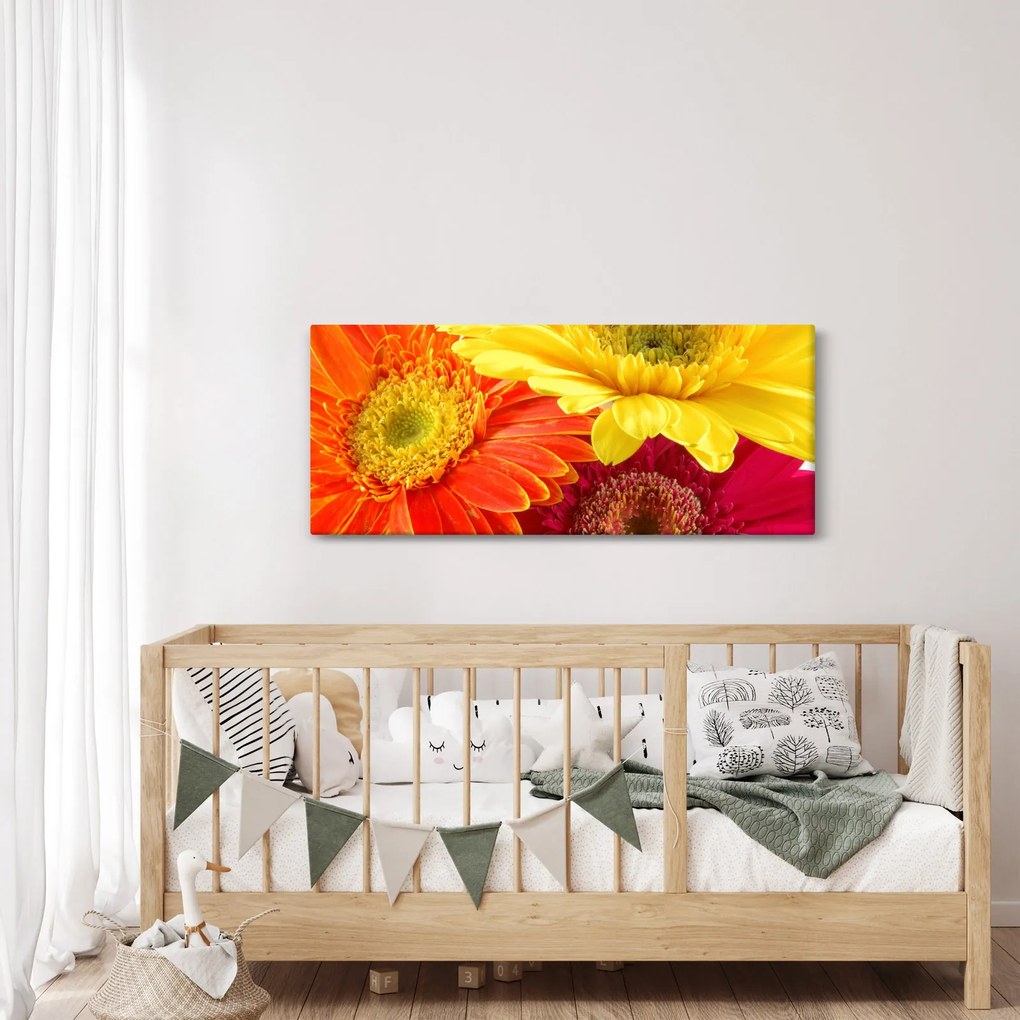 Tablou - Flori Gerbery (120x50 cm)
