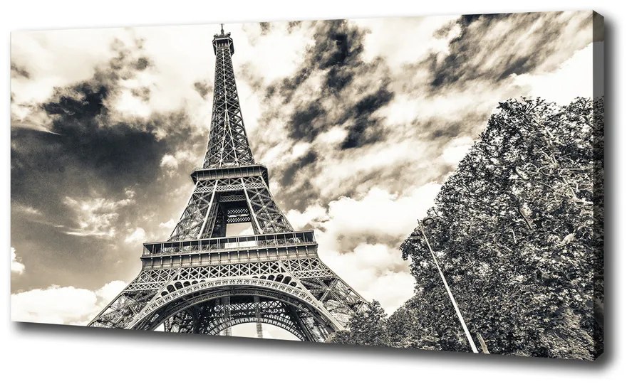Pictură pe pânză Turnul eiffel din paris