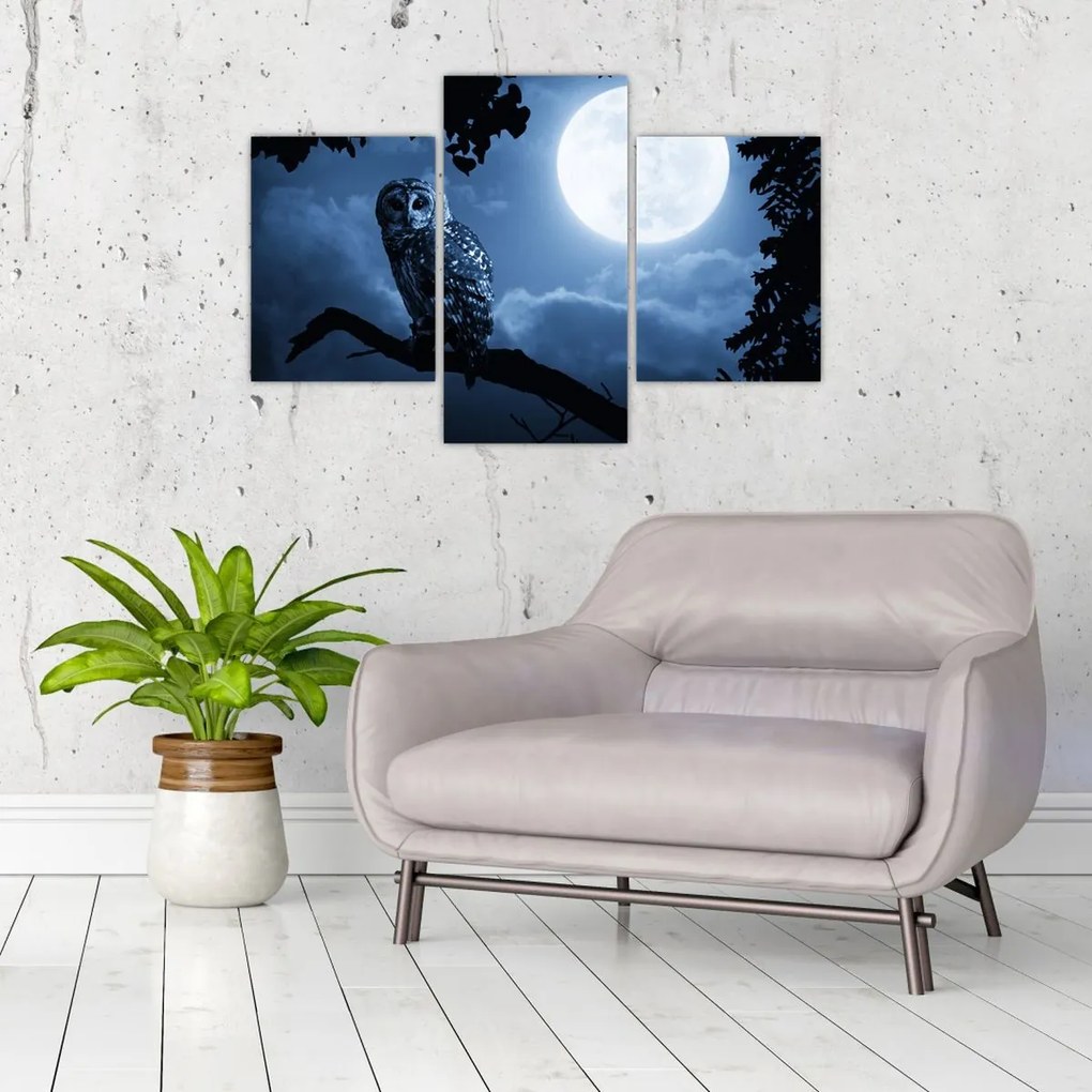 Tablou - Bufnița de noapte (90x60 cm)