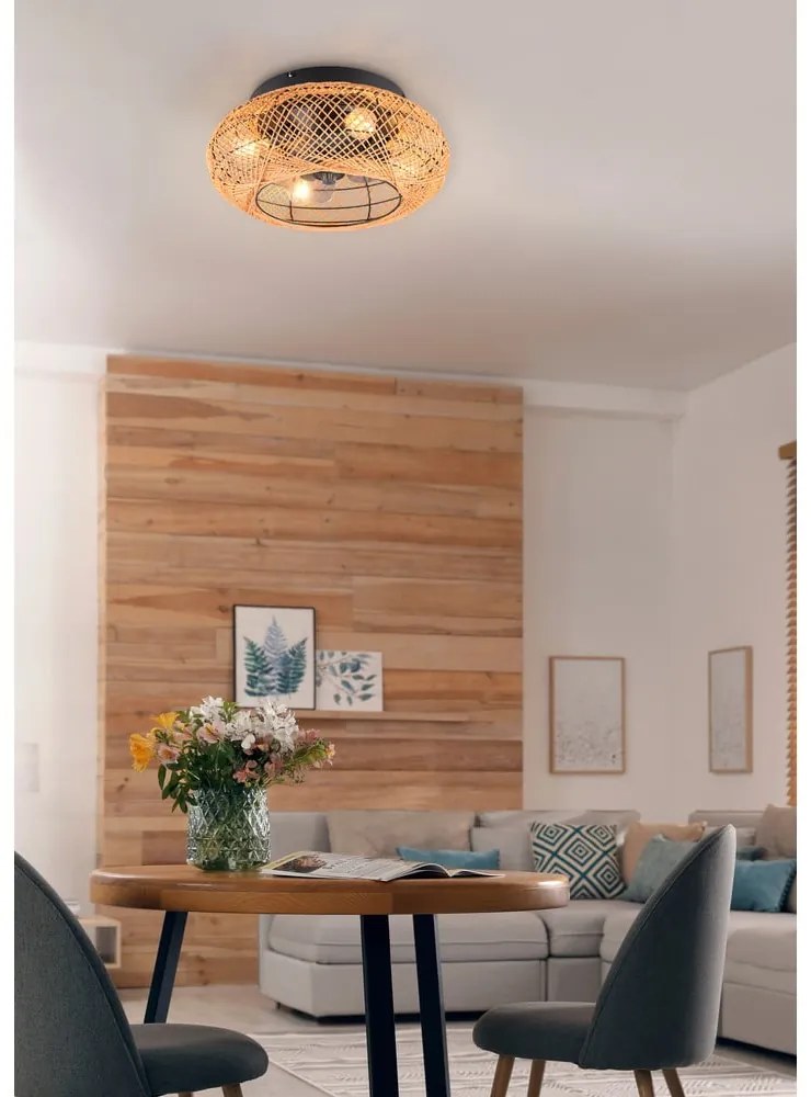 Plafonieră maro cu control prin telecomandă, cu ventilator Lillesand – Trio