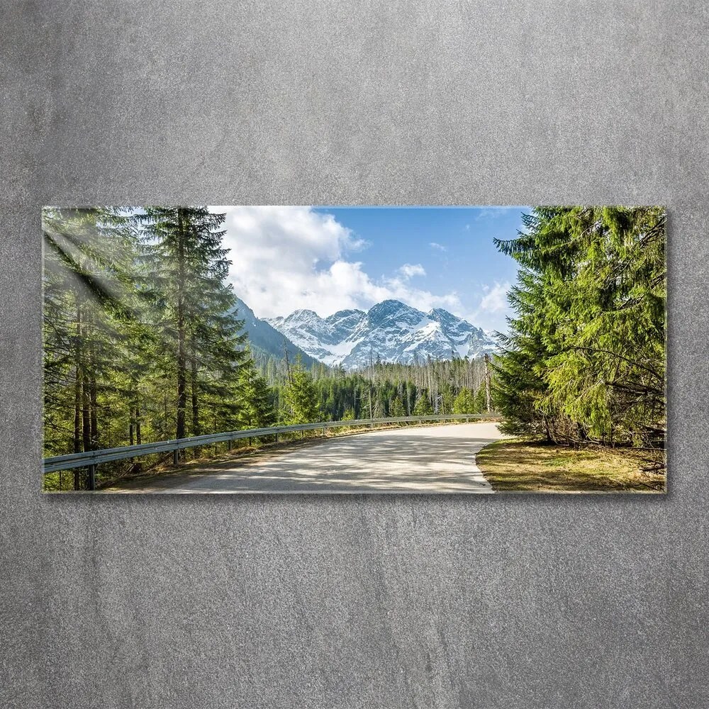 Tablou pe acril Road tatry