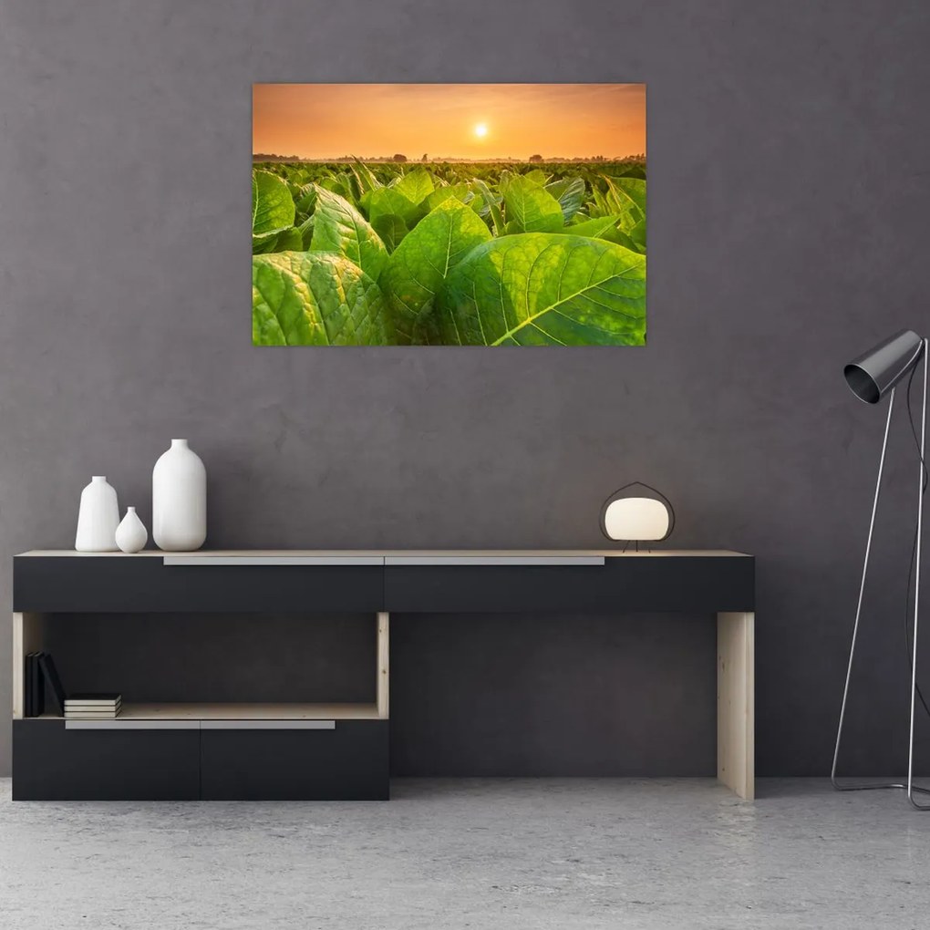 Tablou - Câmp (90x60 cm)