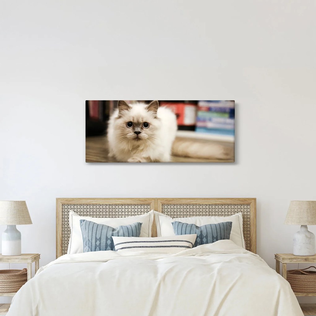 Tablou cu pisica albăr (120x50 cm)