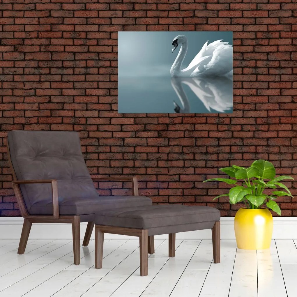 Tablou -Lebădă albă (70x50 cm)