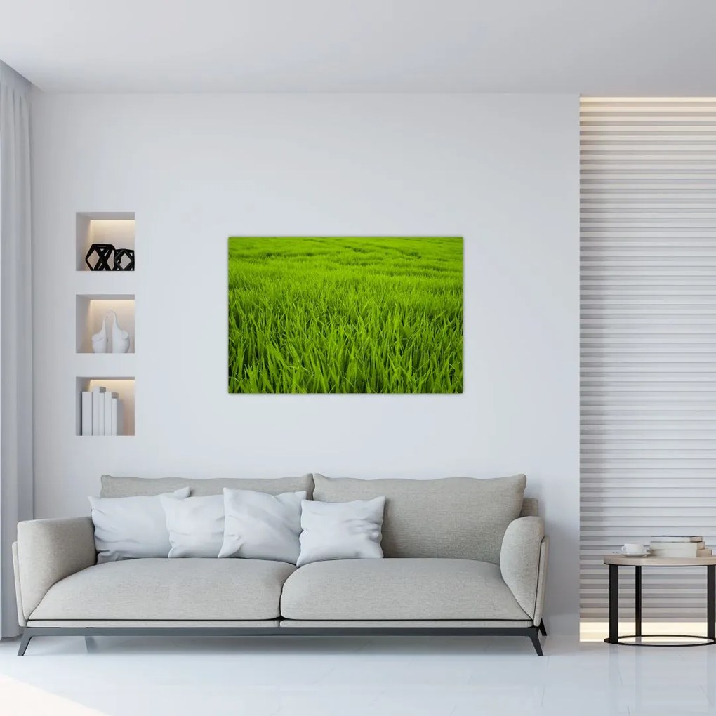 Tablou cu iaraba (90x60 cm)