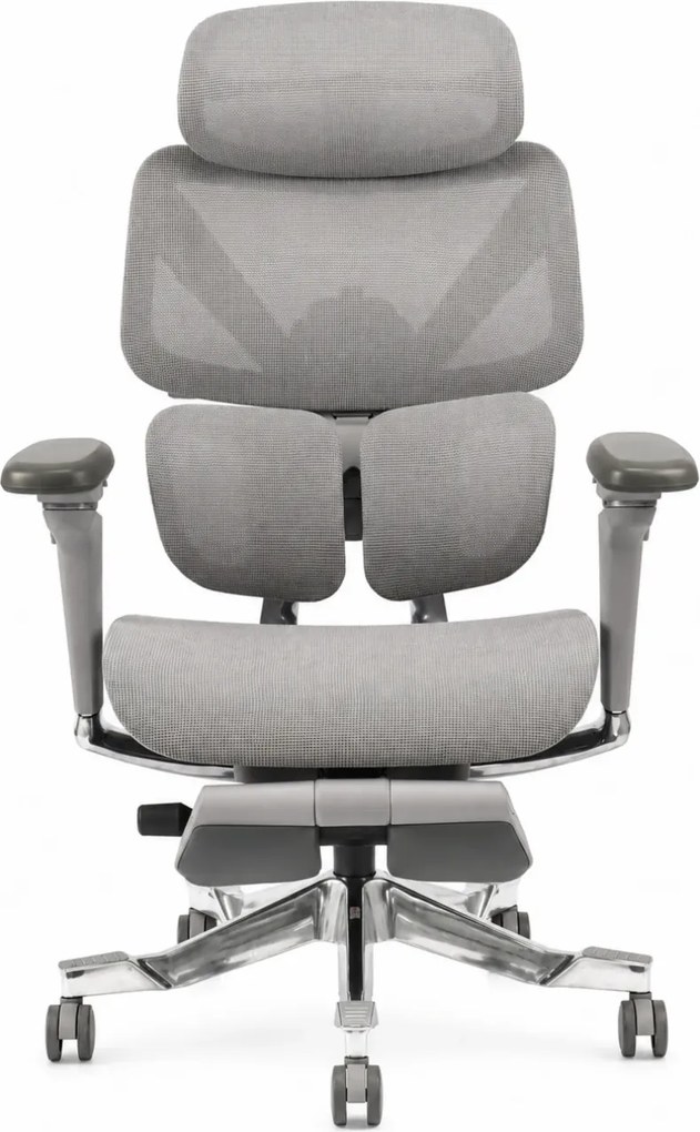 DeluxStar T2 ELITE PRO – Scaun Ergonomic Premium cu Suport Lombar Dual Dynamic 3D, Suspensie Air-Glide și Suport Complet Cervical – Spate – Lombar, Gri