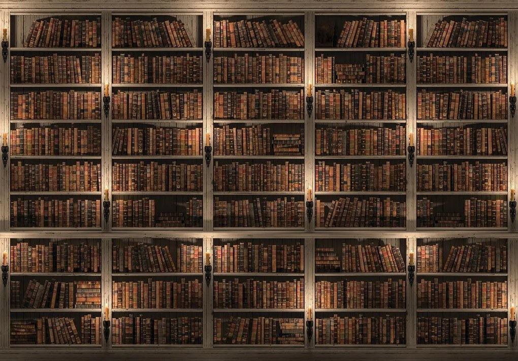 Fototapet - Biblioteca plină de cărți (254x184 cm)