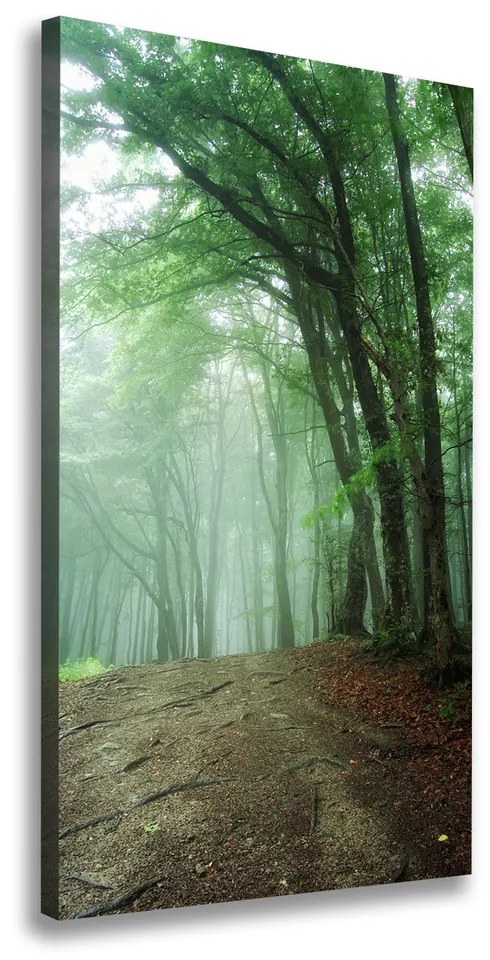 Imprimare tablou canvas Ceață în pădure