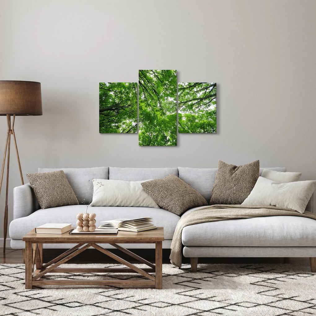 Tablou - privire în coroanele pomilor (90x60 cm)