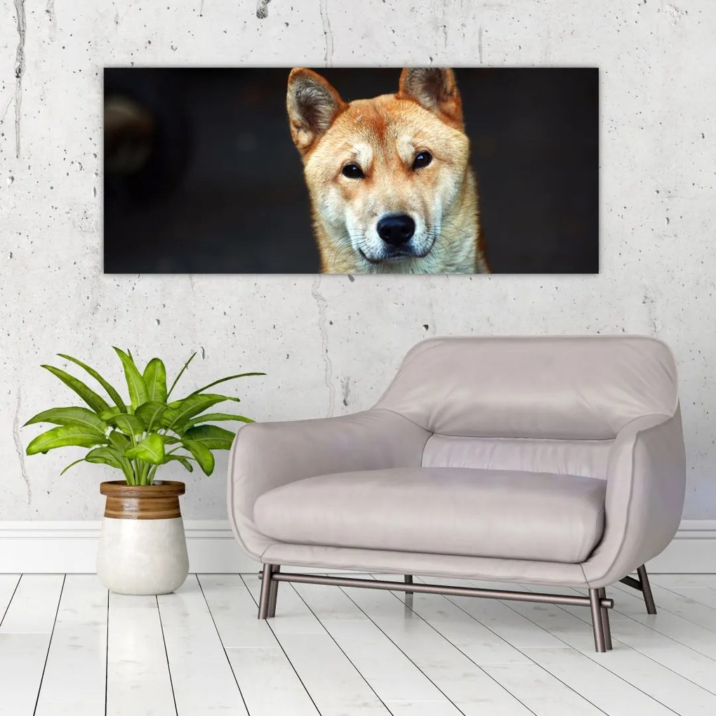 Tablou cu câine (120x50 cm)