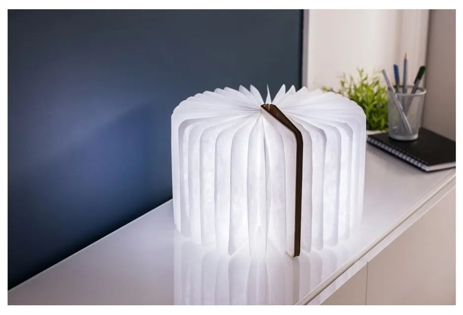 Decorațiune luminoasă în culoare naturală cu USB Booklight – Gingko